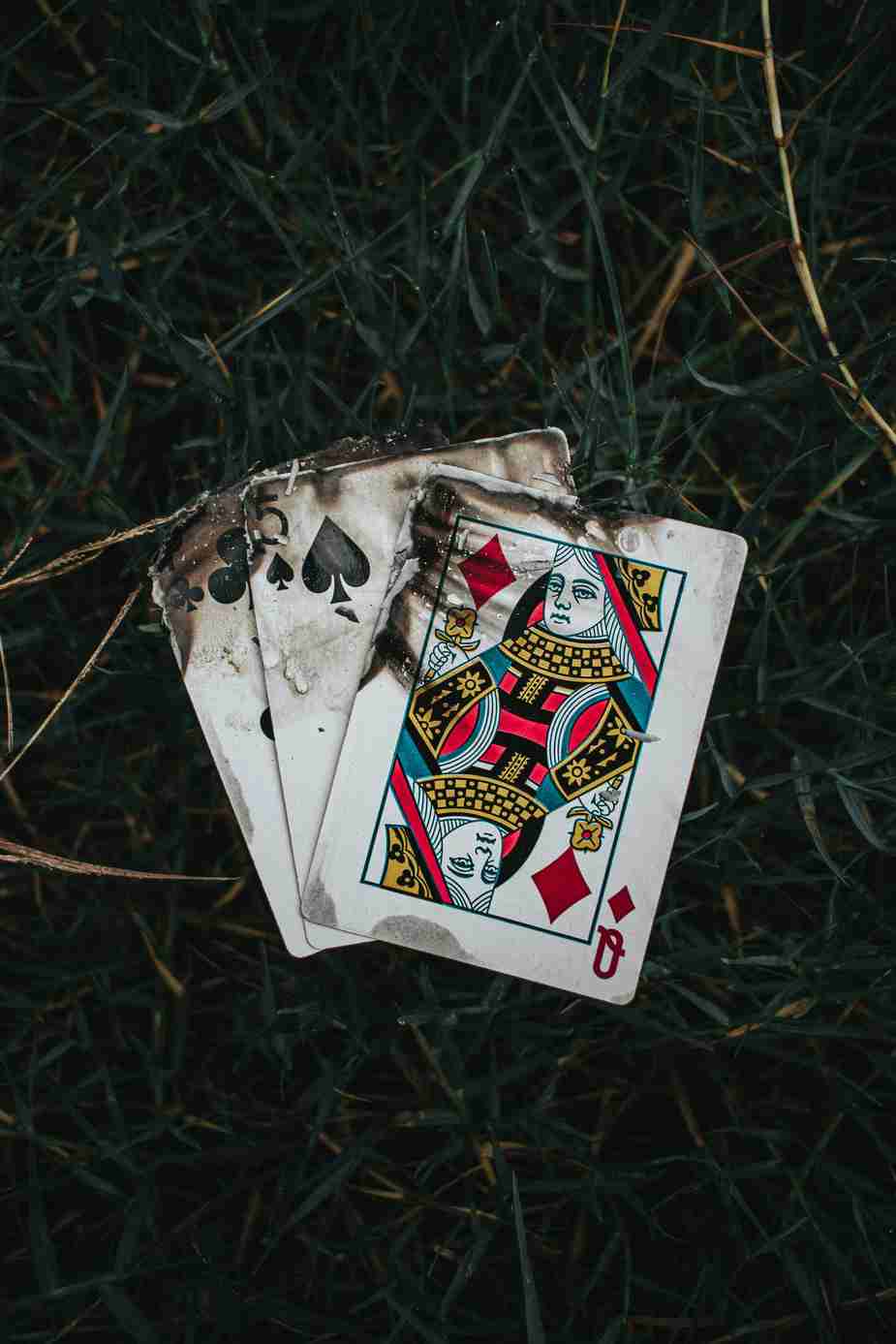 Royal Reels