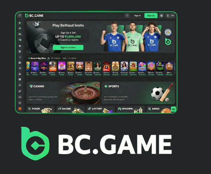 BC.Game Mexico Login Your Gateway to Online Gaming -281964651